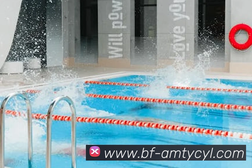 澳门太阳城APP 封面图